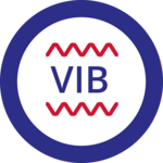 Icon vibration waves